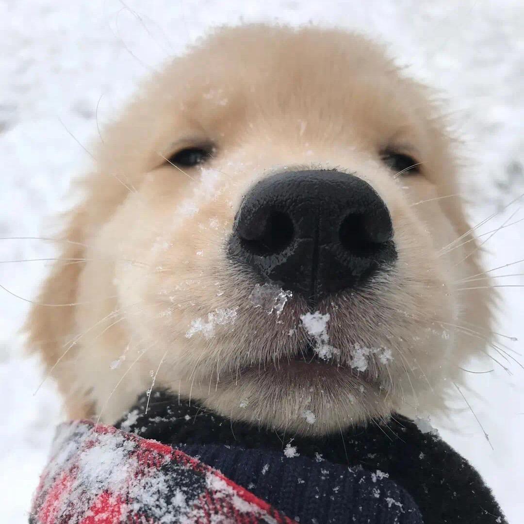 小楼昨夜又东风