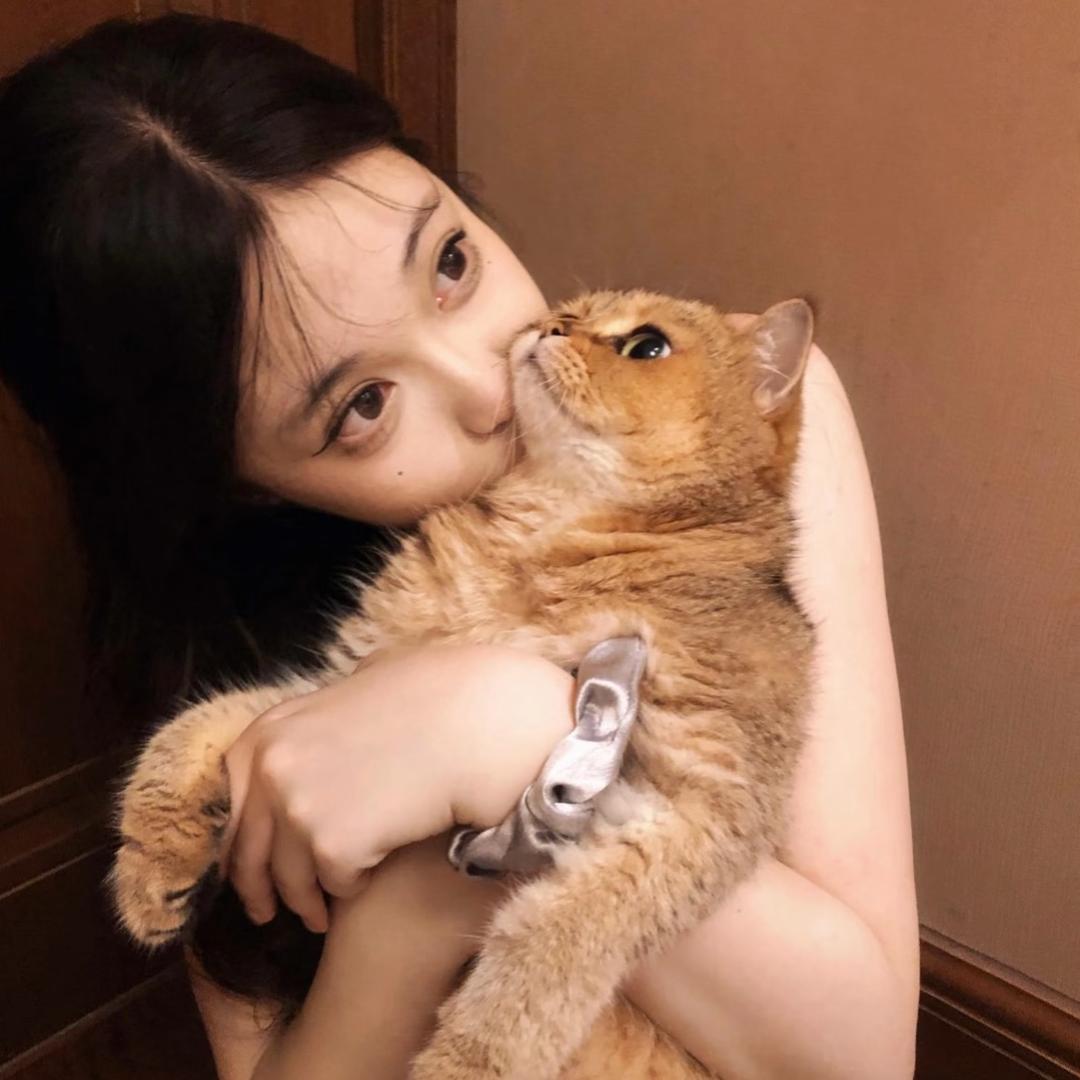 77小梨^ Sommerfugl🦋