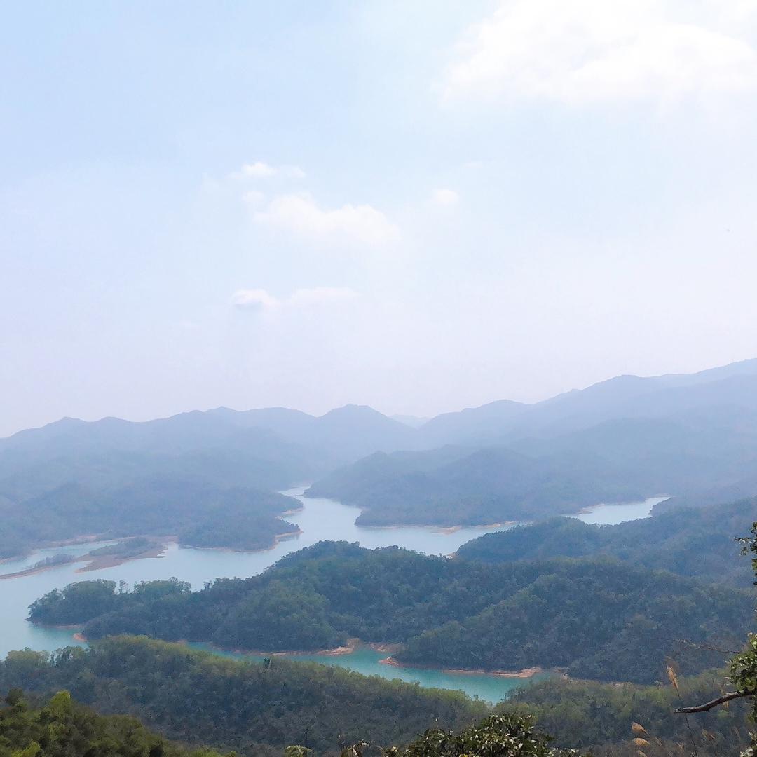 山货靓汤