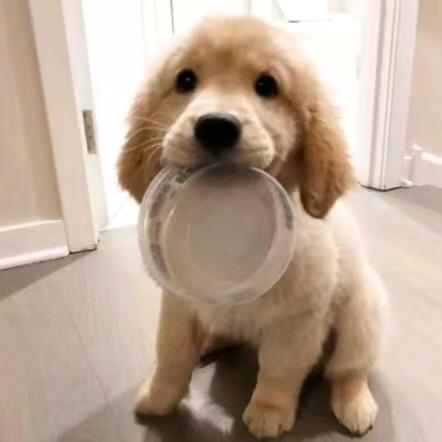 可以吃螺蛳粉吗