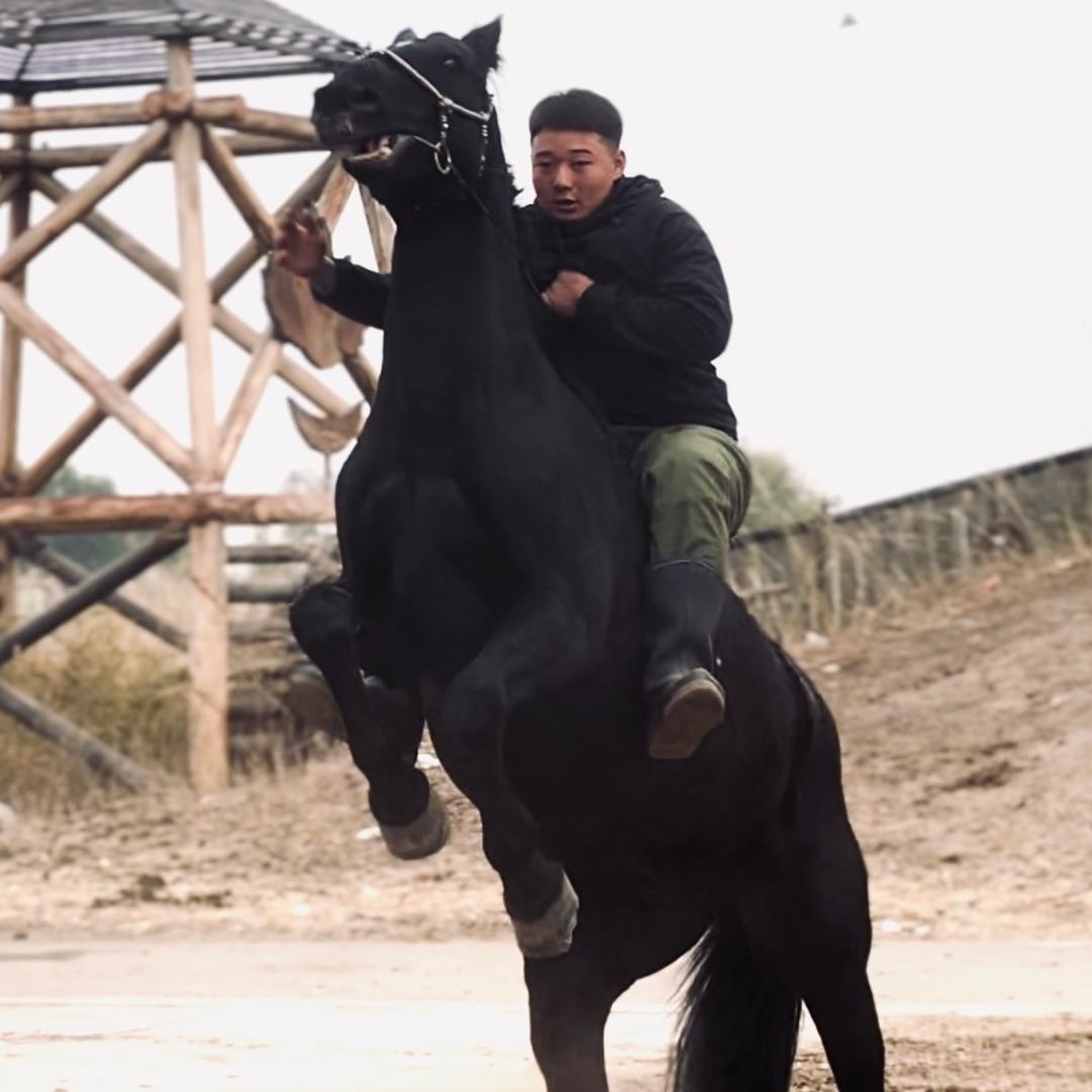 根锁🐴