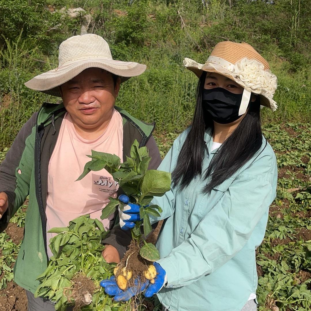 强子记录幸福生活