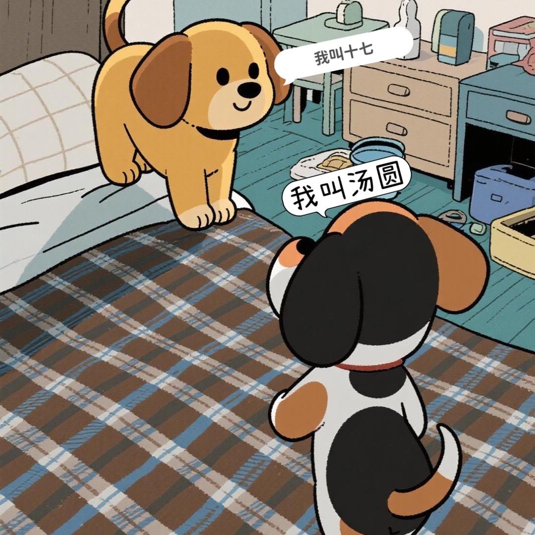 十七汤圆