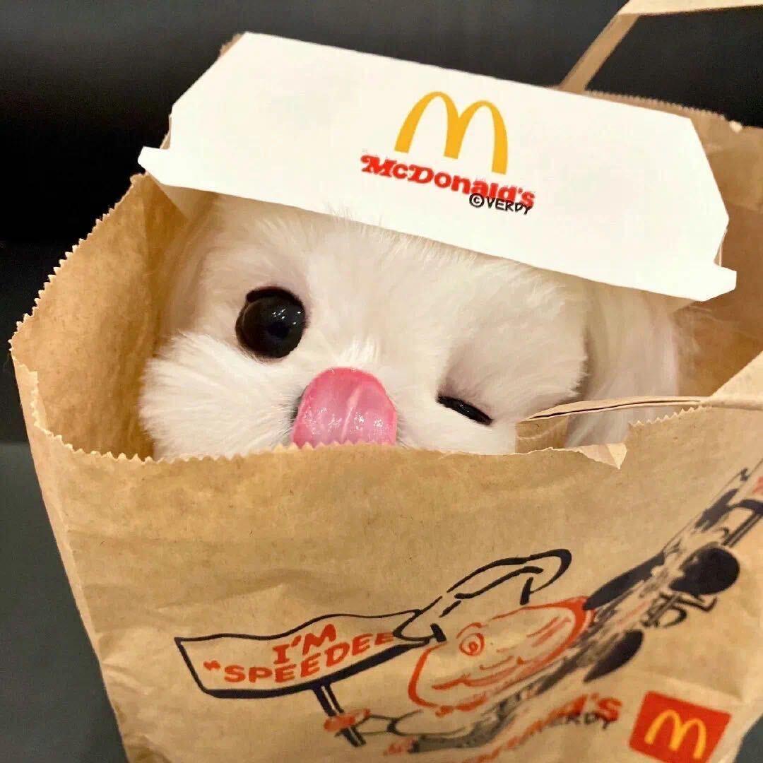 玉子