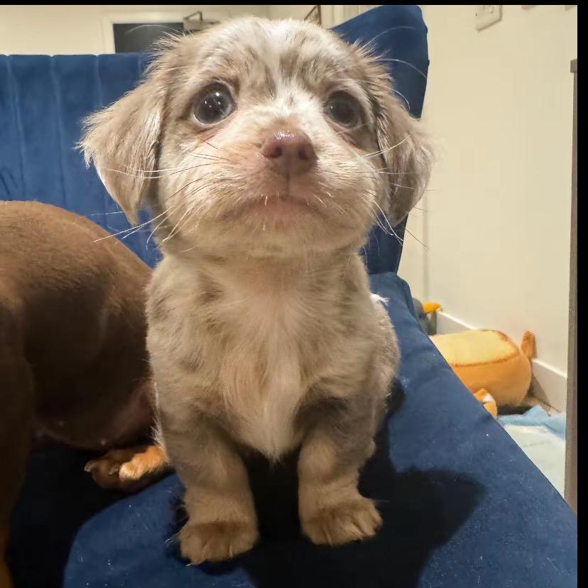 不知名主唱￴ ￴ ￴