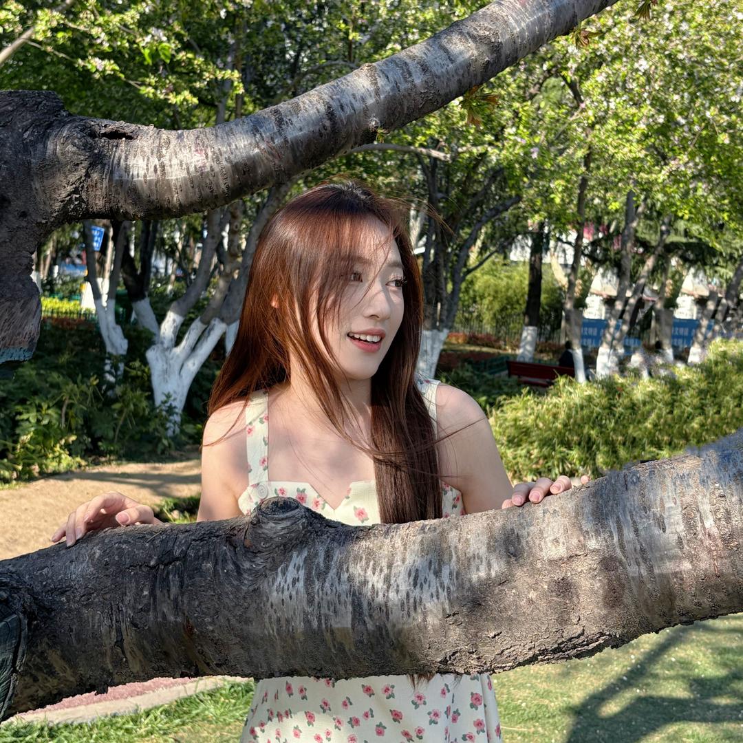 柒夏（养成系）1500🎁