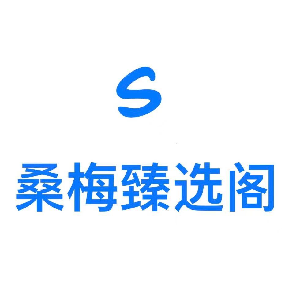 桑梅臻选阁 手表