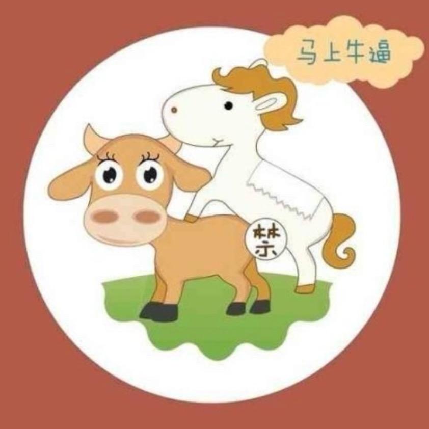 我和你拼了