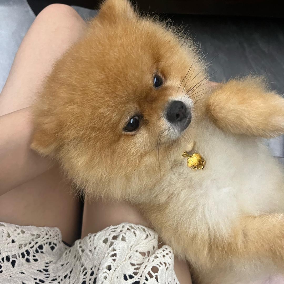 张七三