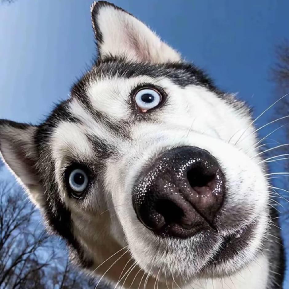 叼着奶嘴走四方