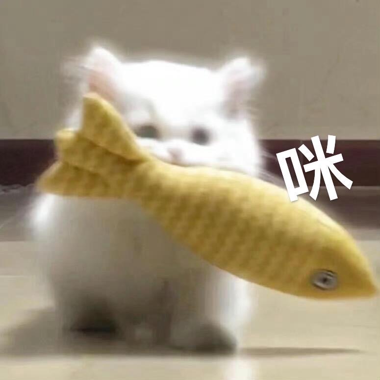 瑶瑶瑶瑶