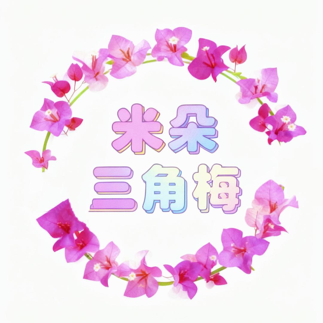 米朵三角梅花卉