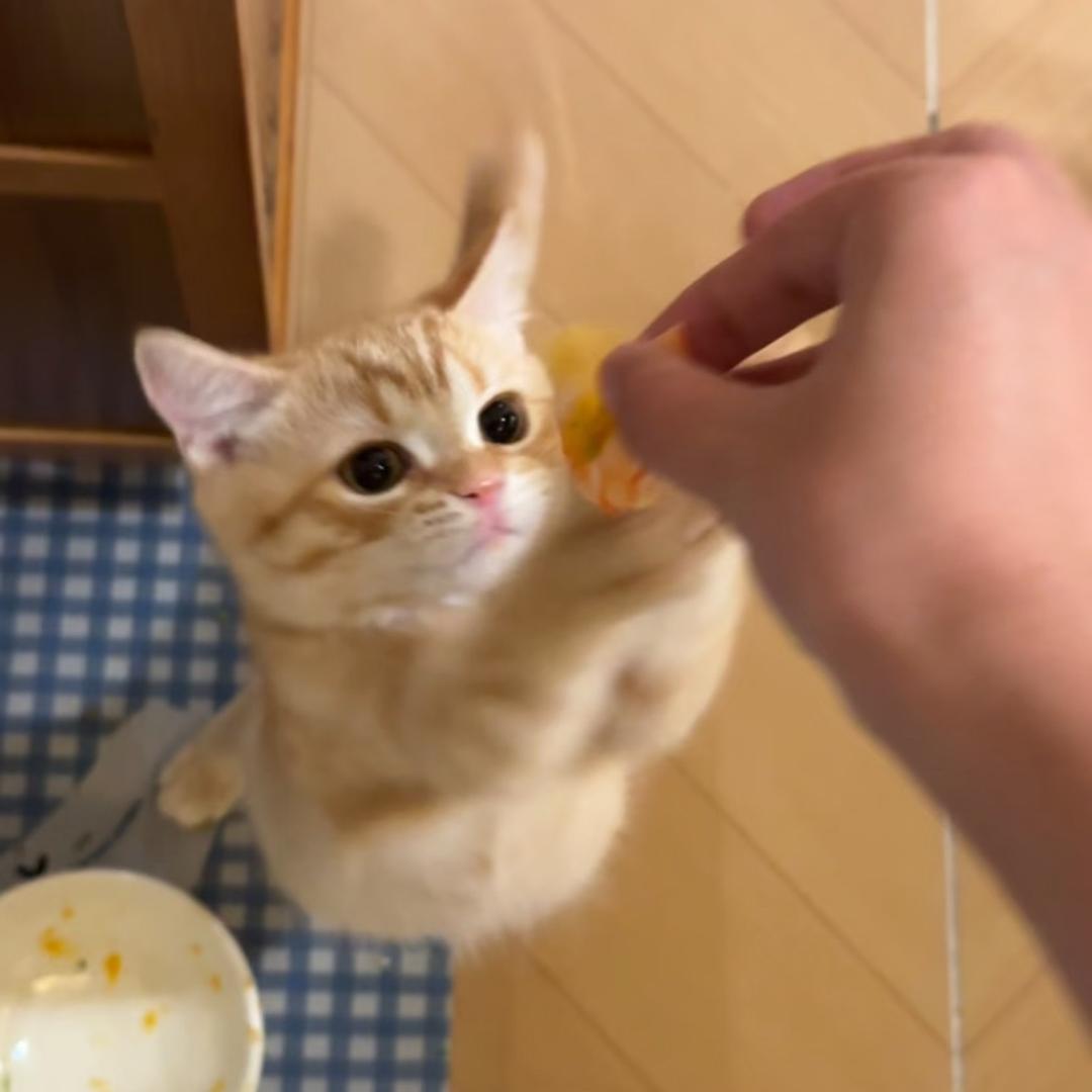 iamyinuo