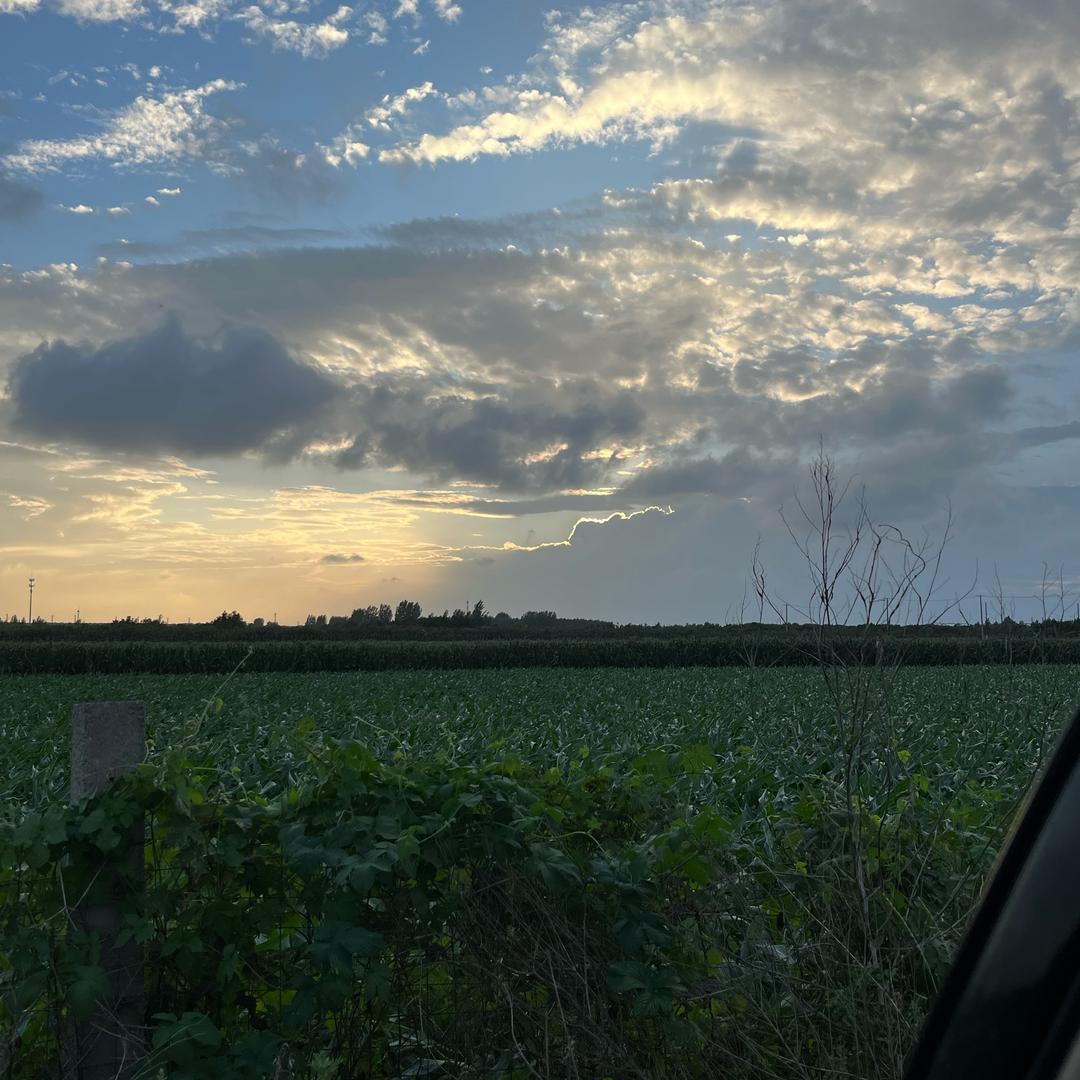 重生之我在平度干装修