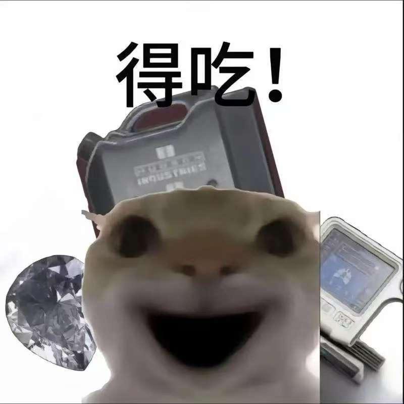 沵沵ovo（三角洲行动）