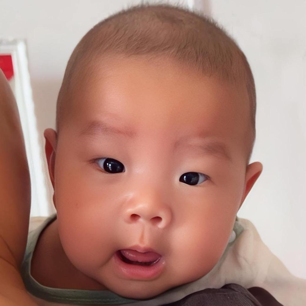 一只小朗崽