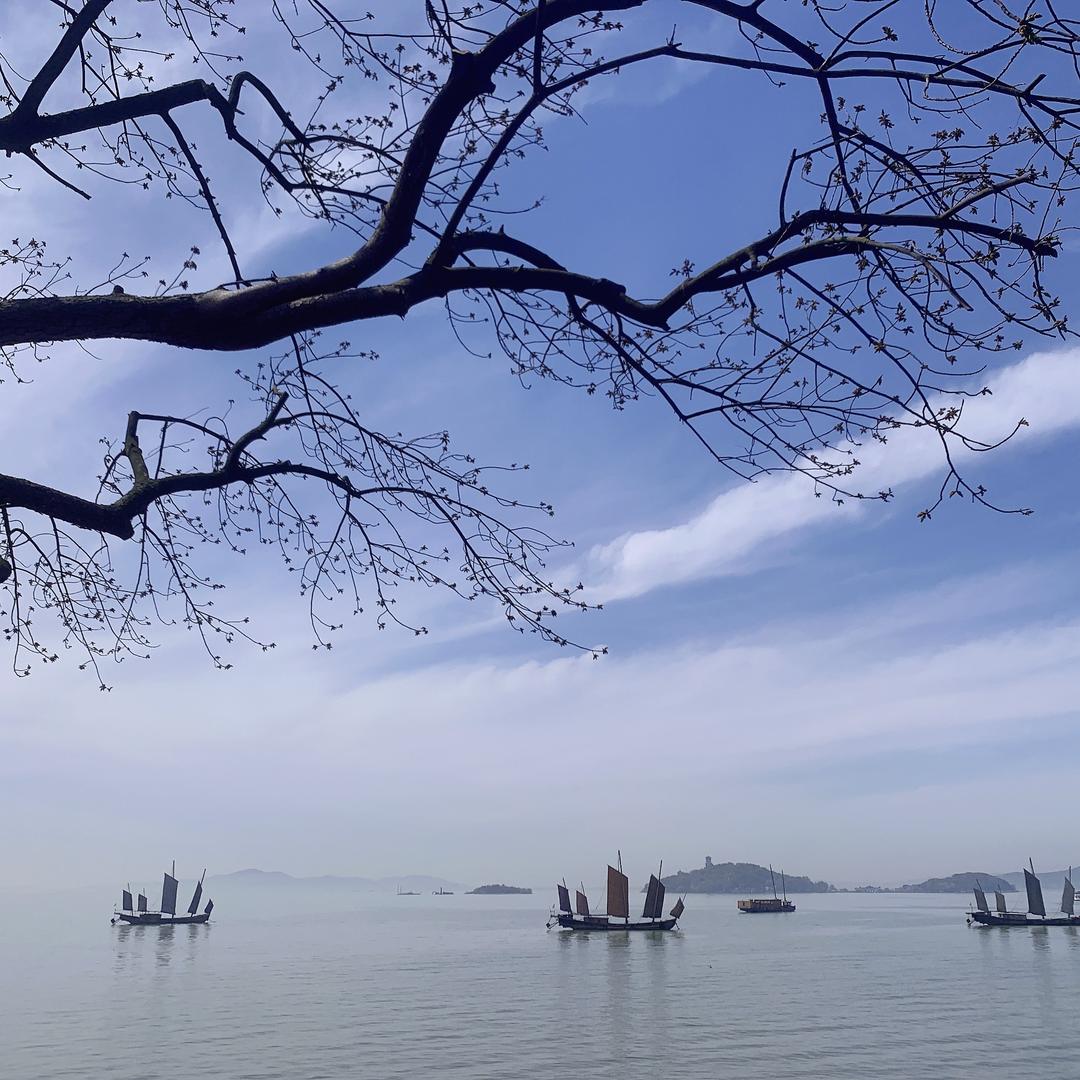 欣怡小号