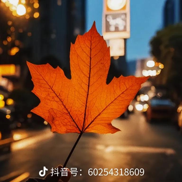 请好好努力