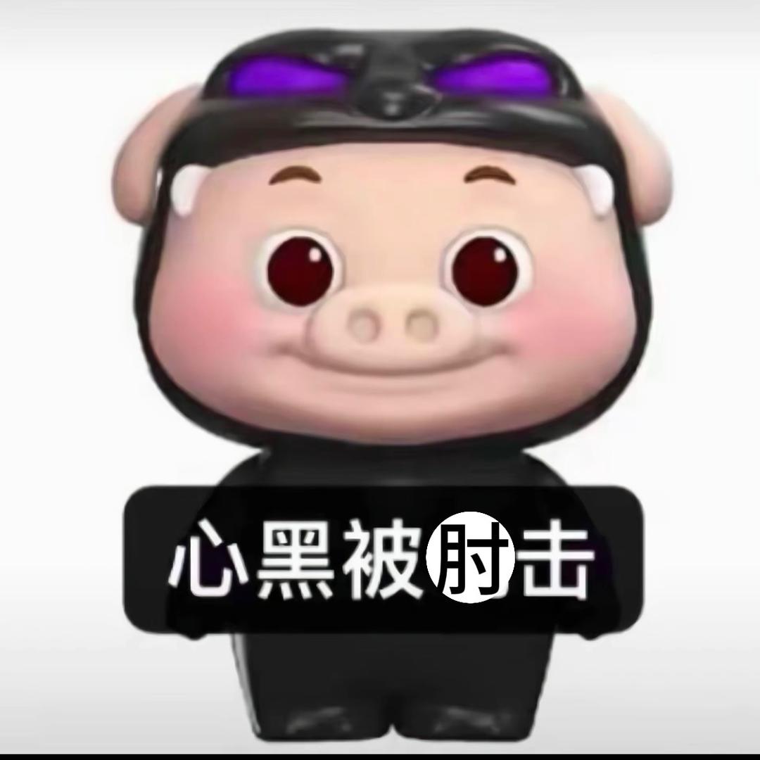 我也不知道我是谁✌️