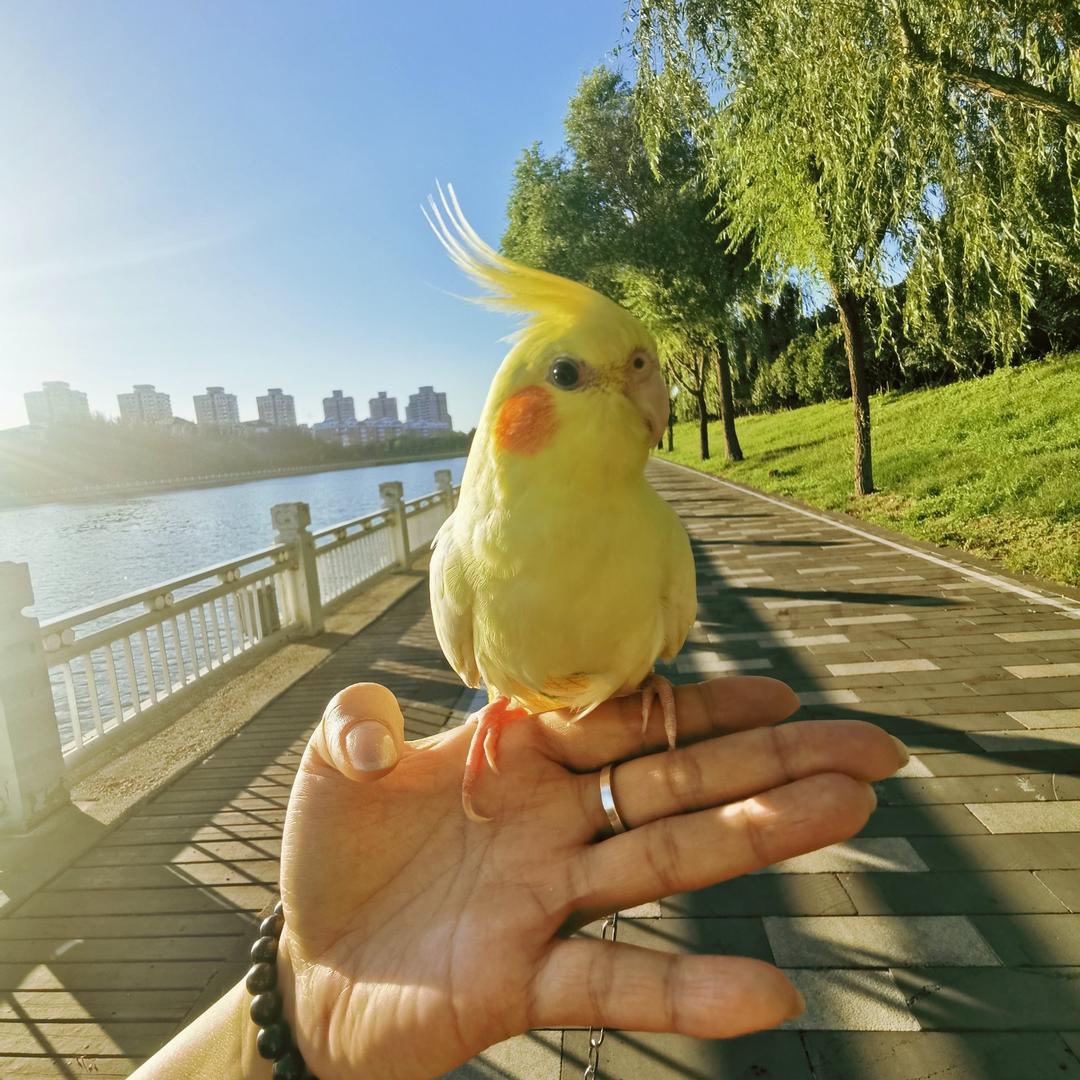小不点