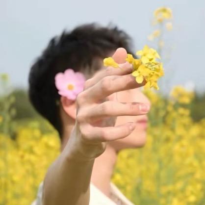 云上