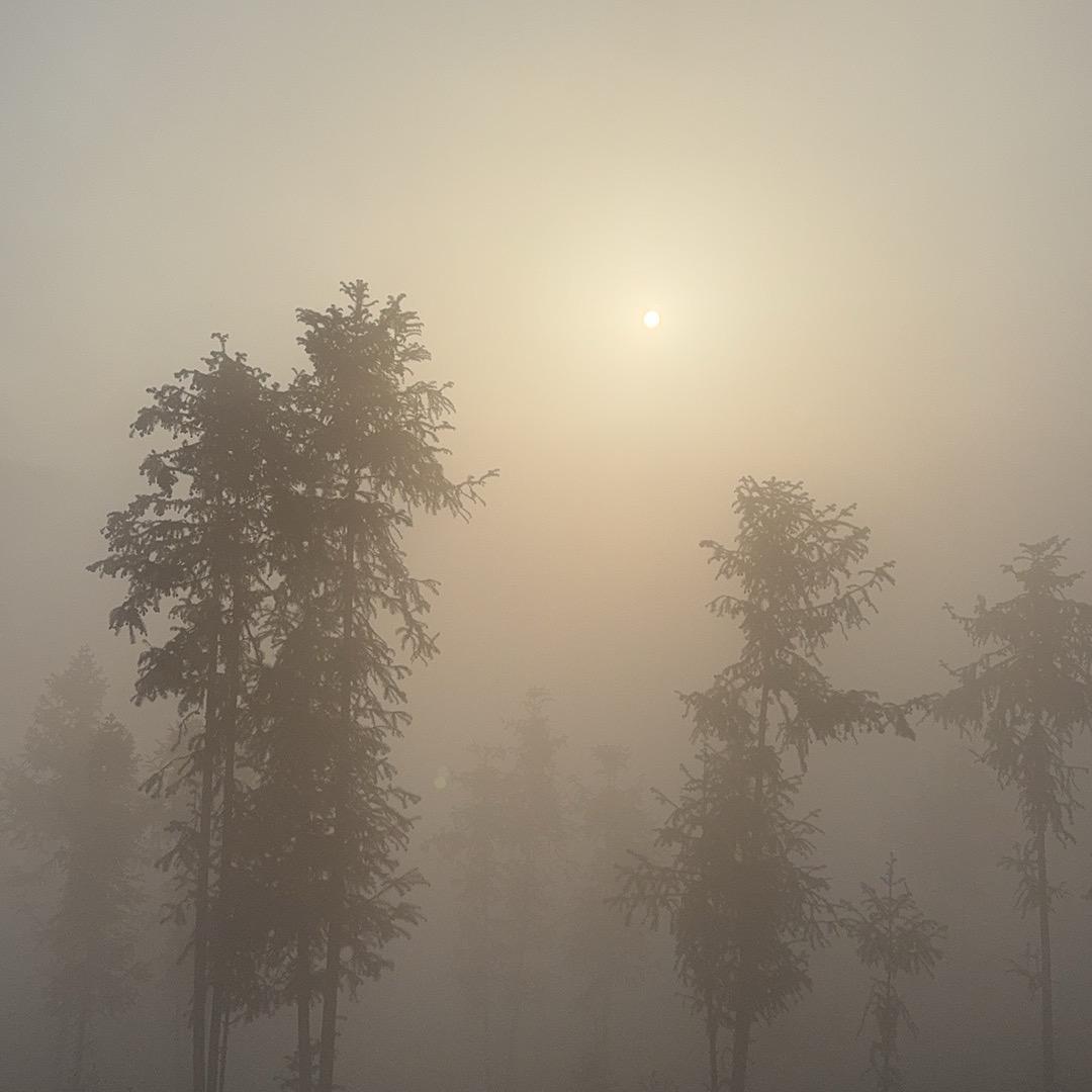 楠哲