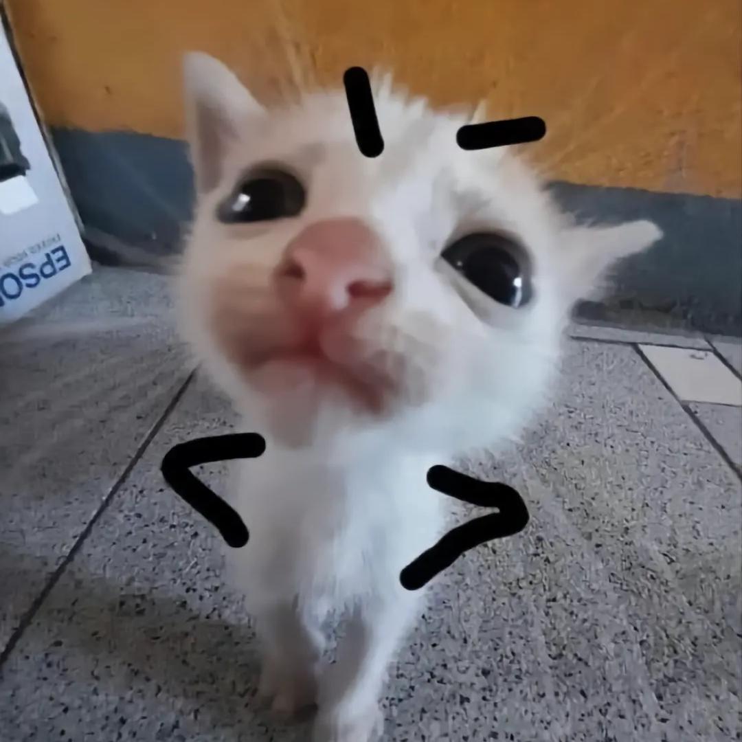 叽歪_