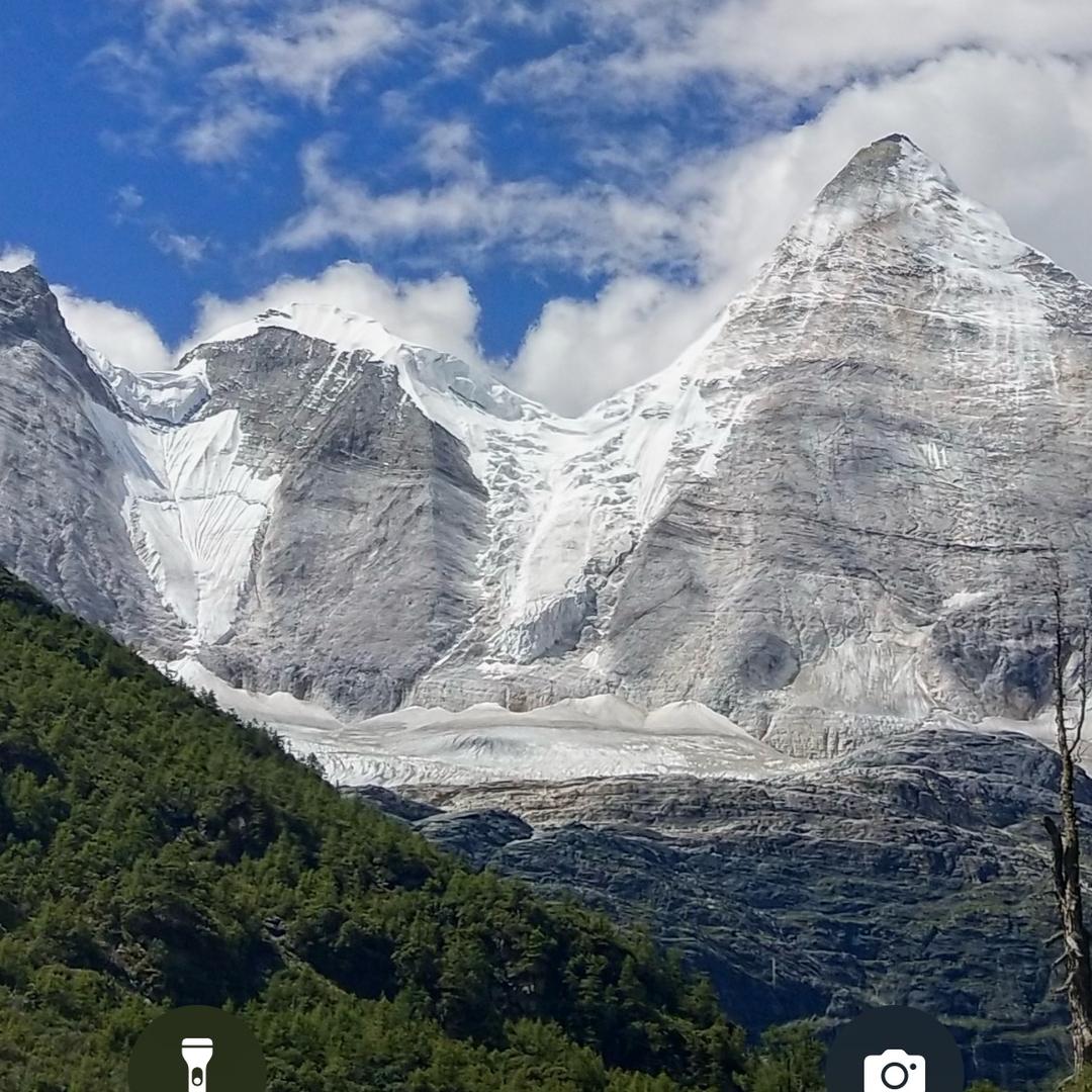 李子要励志努力