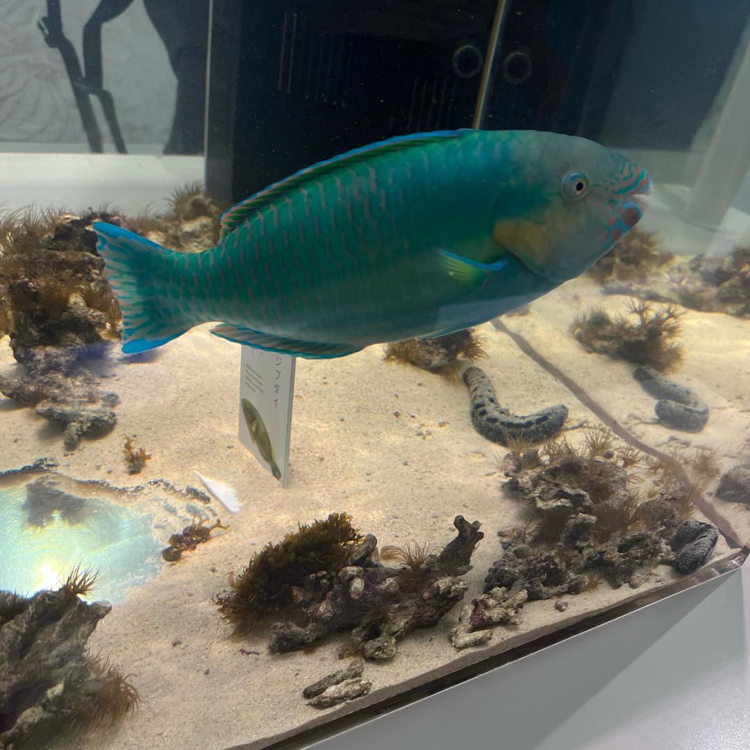 义佳花园渔具店