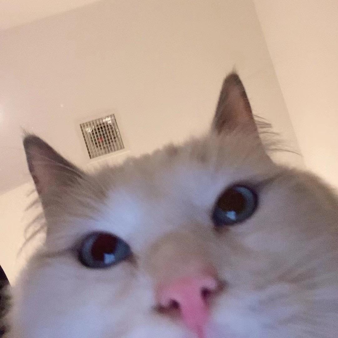 分享好物的伊伊