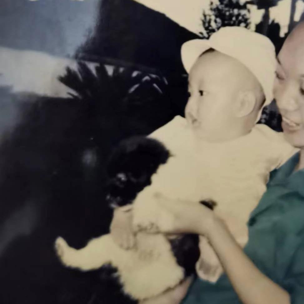 小学的名字还能用吗