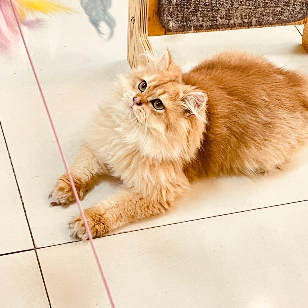 🐳🐳🐳谭歆何