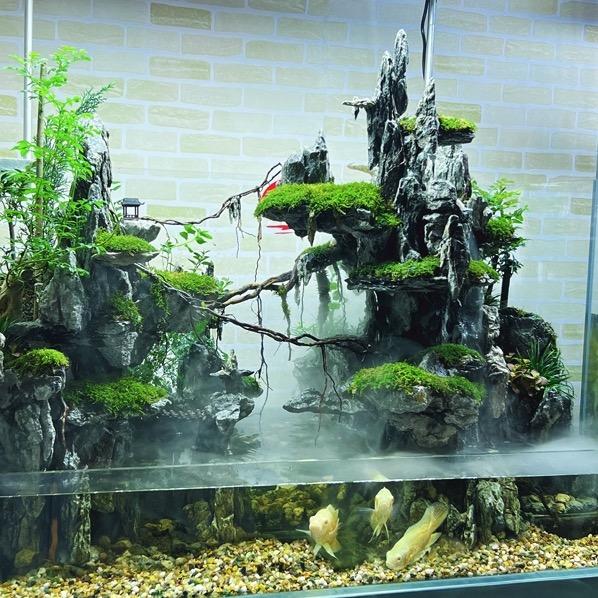 艺族学造景