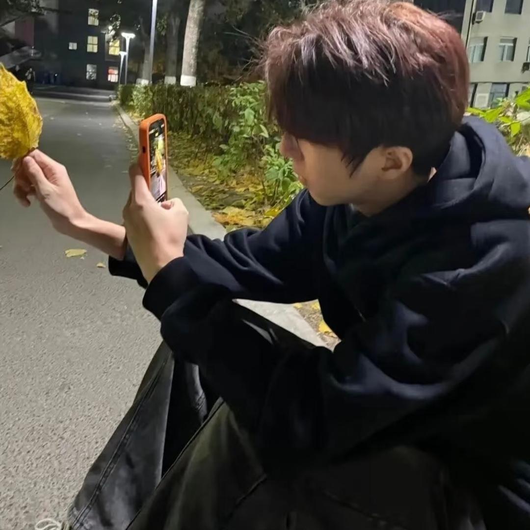 安野