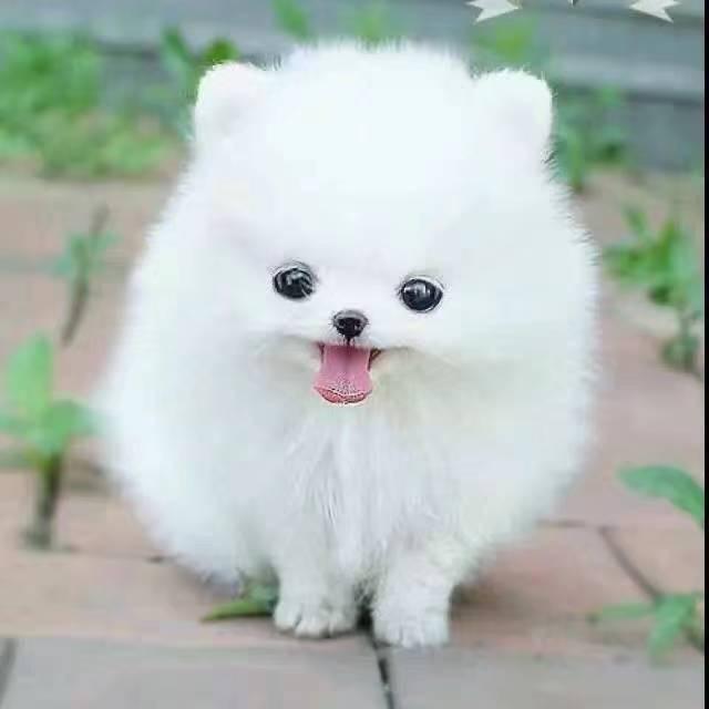 天天开开心