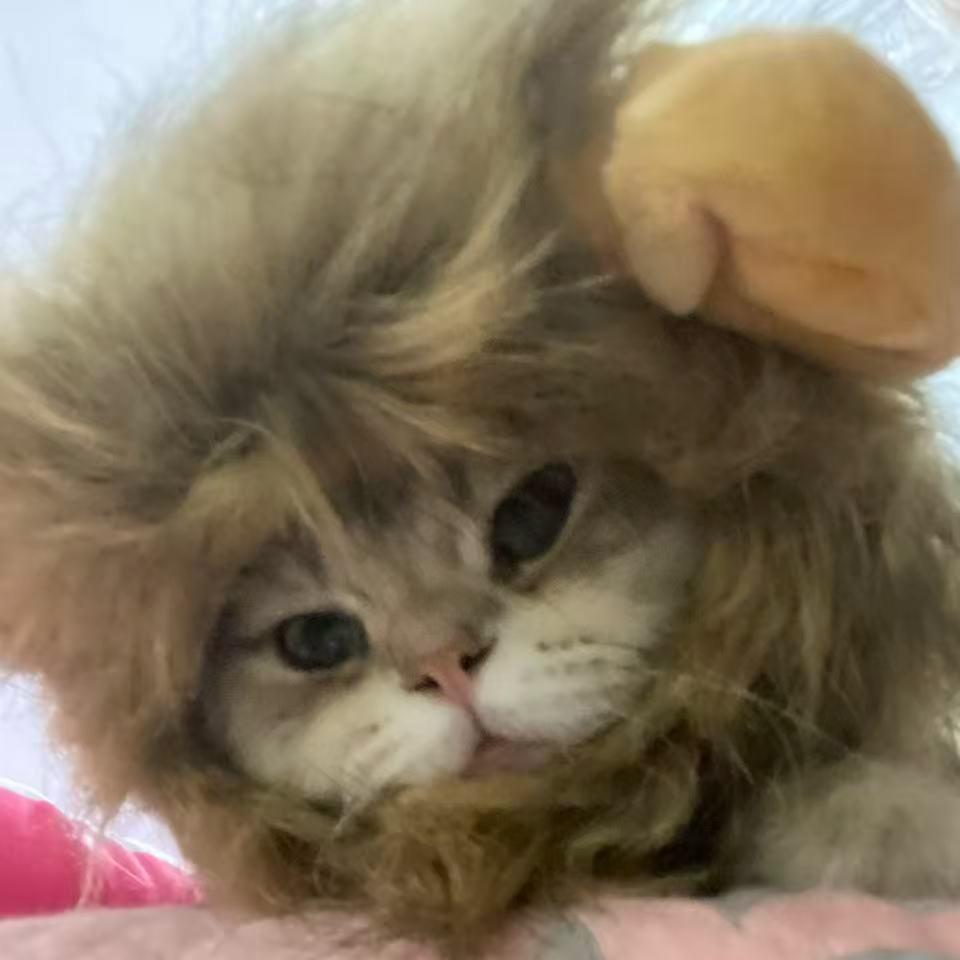 合成电子加吉他