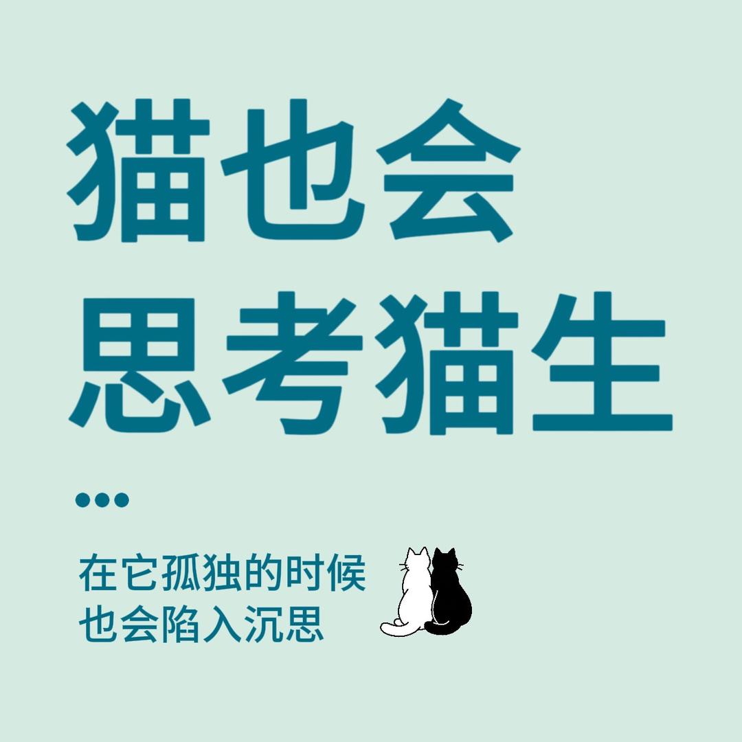 思享