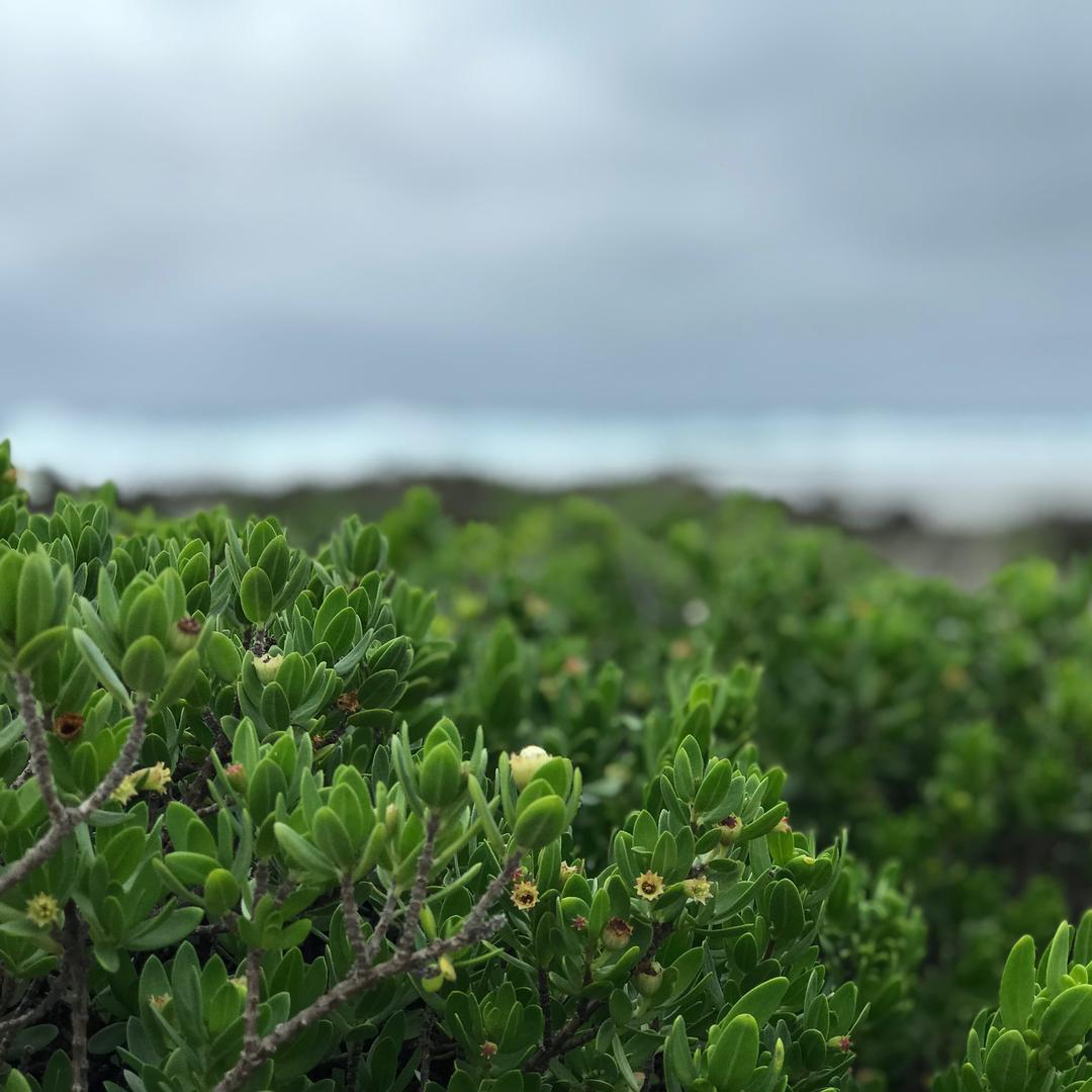 义乌何飞13373840008