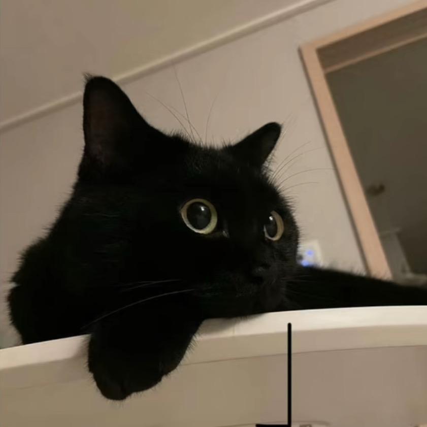 ￴ ￴￴ ￴￴￴ ￴￴ ￴￴ ￴ ⁥