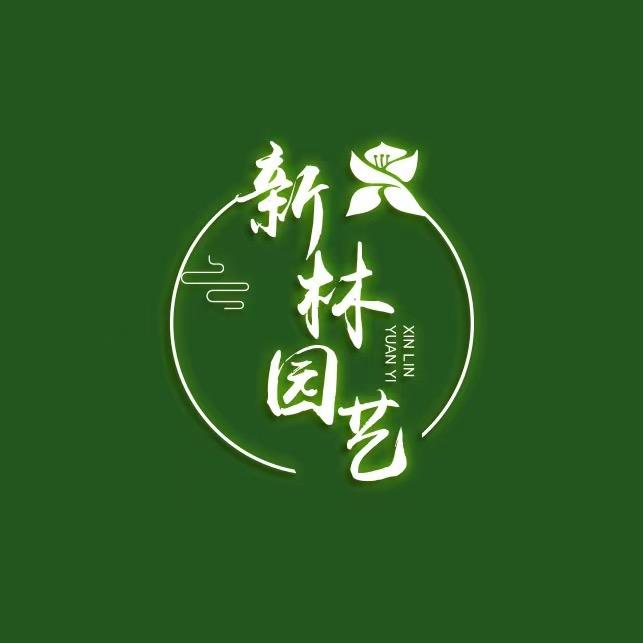 新林三角梅品种汇