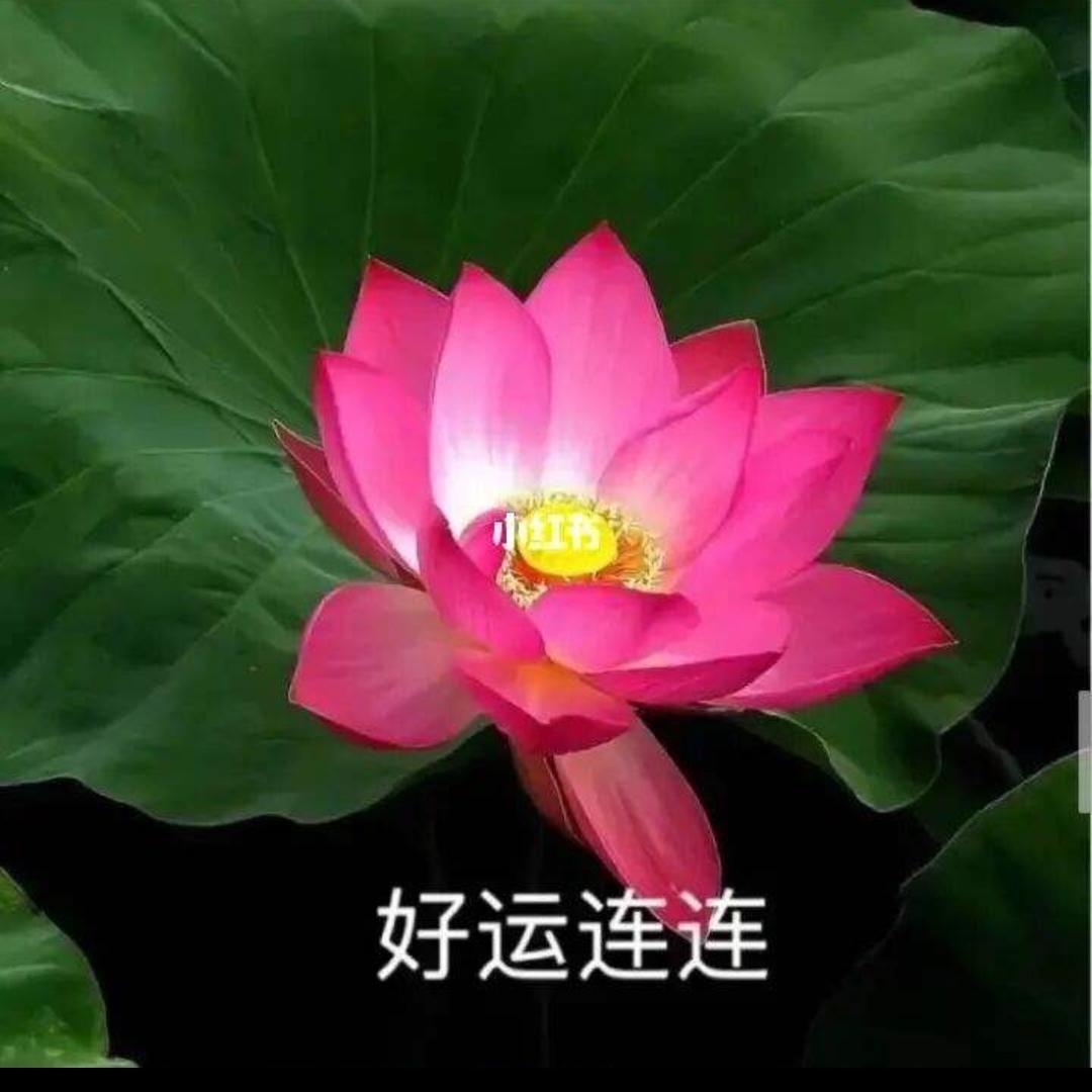 诗奇用用百货店
