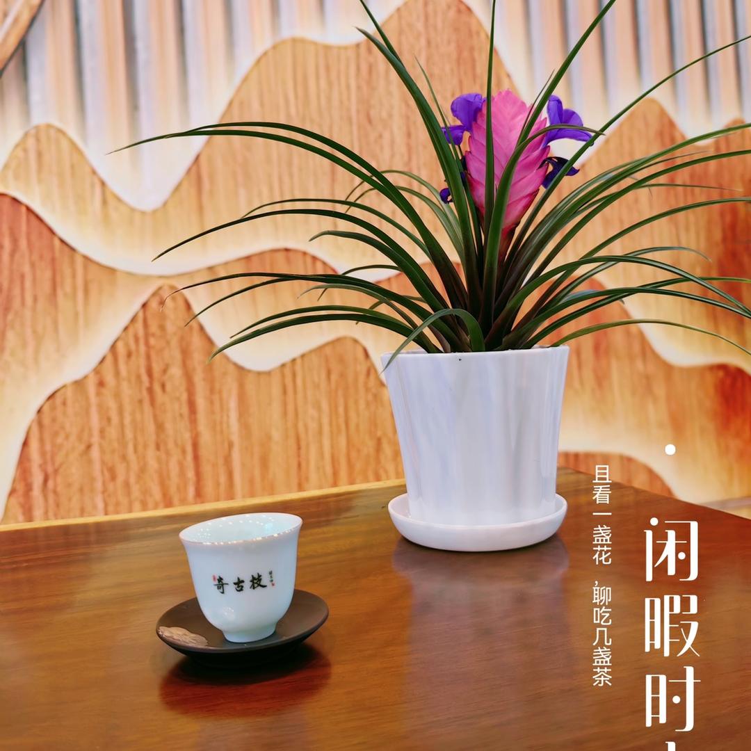 茶知味