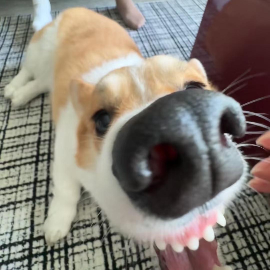 惹惹