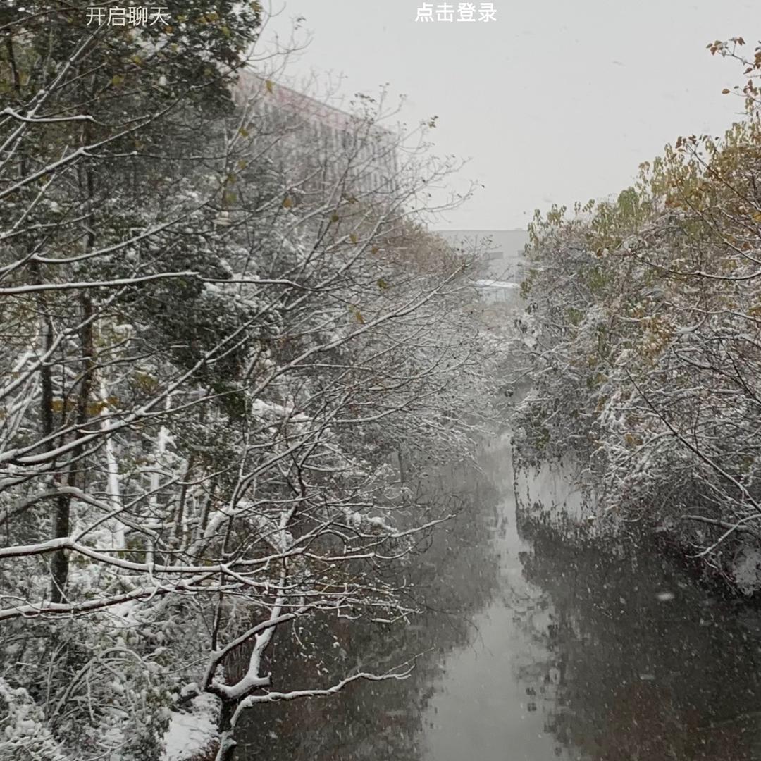 明绸伍