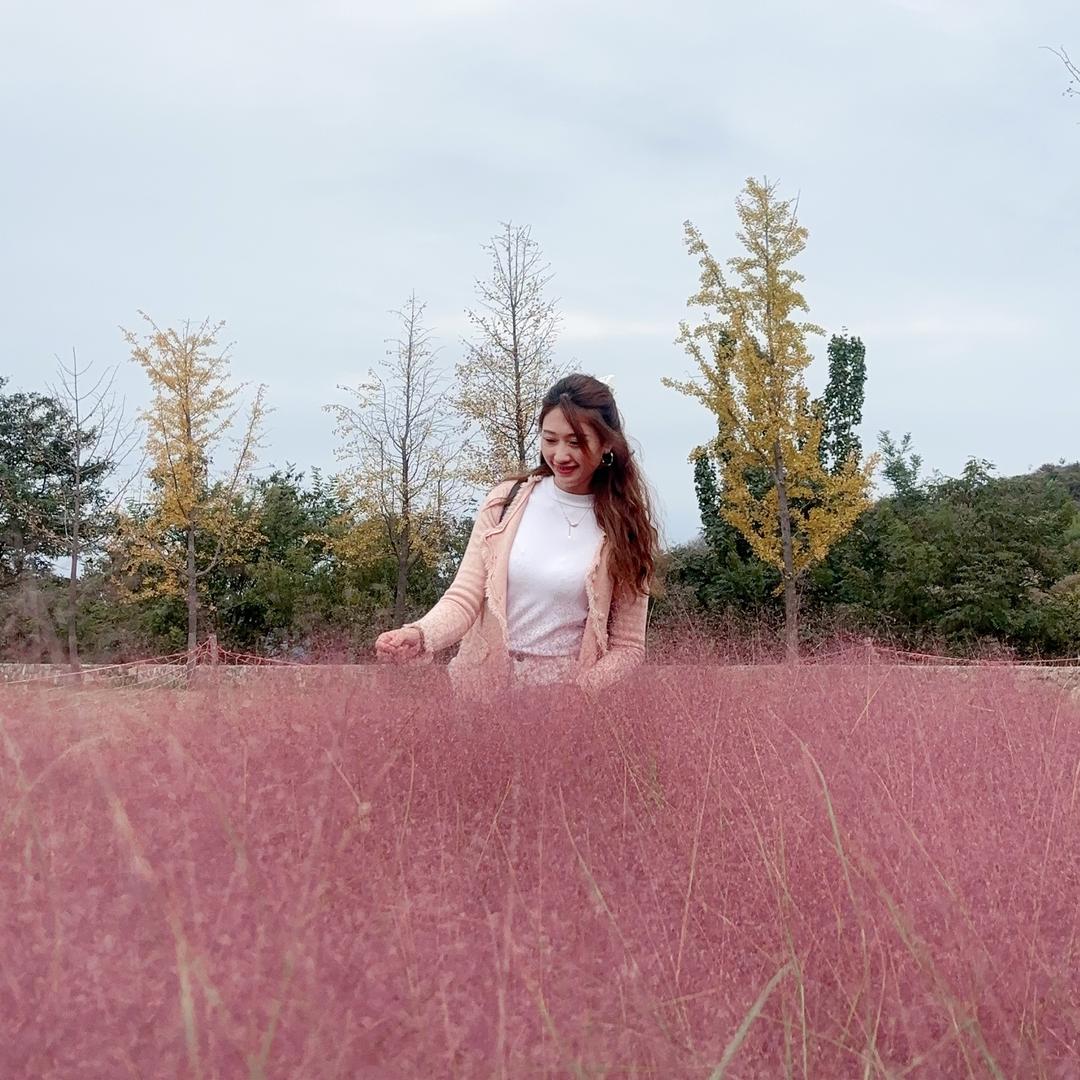 微微一xiao╰😎╮