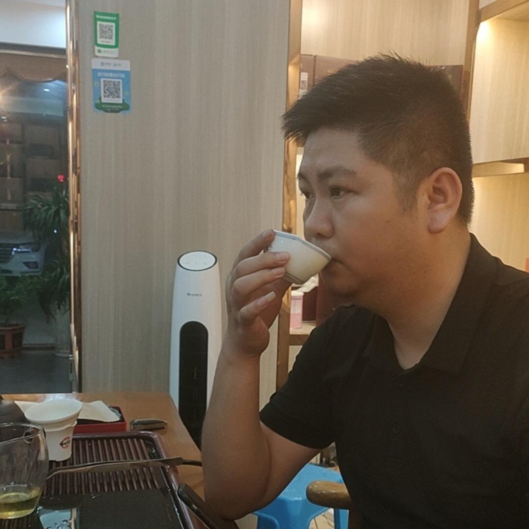 追风的人