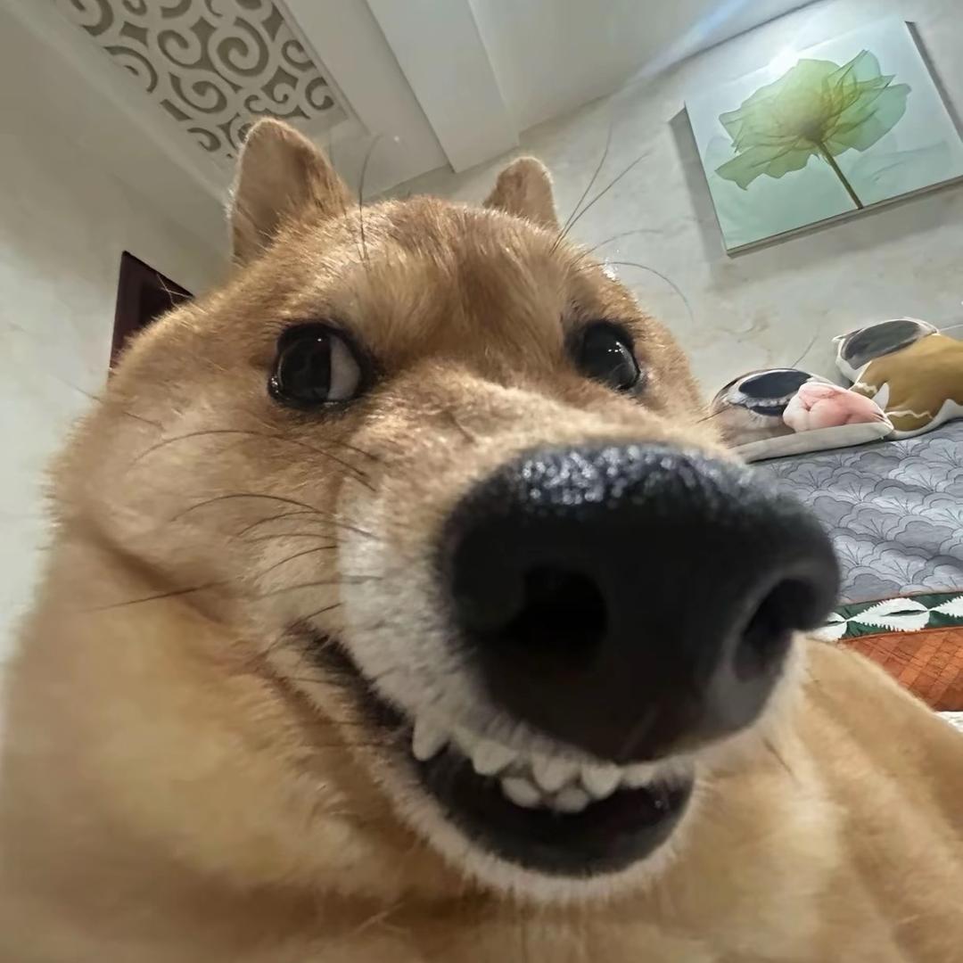 信远哥得永生