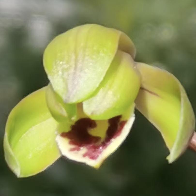 兰朋友-浩海兰苑