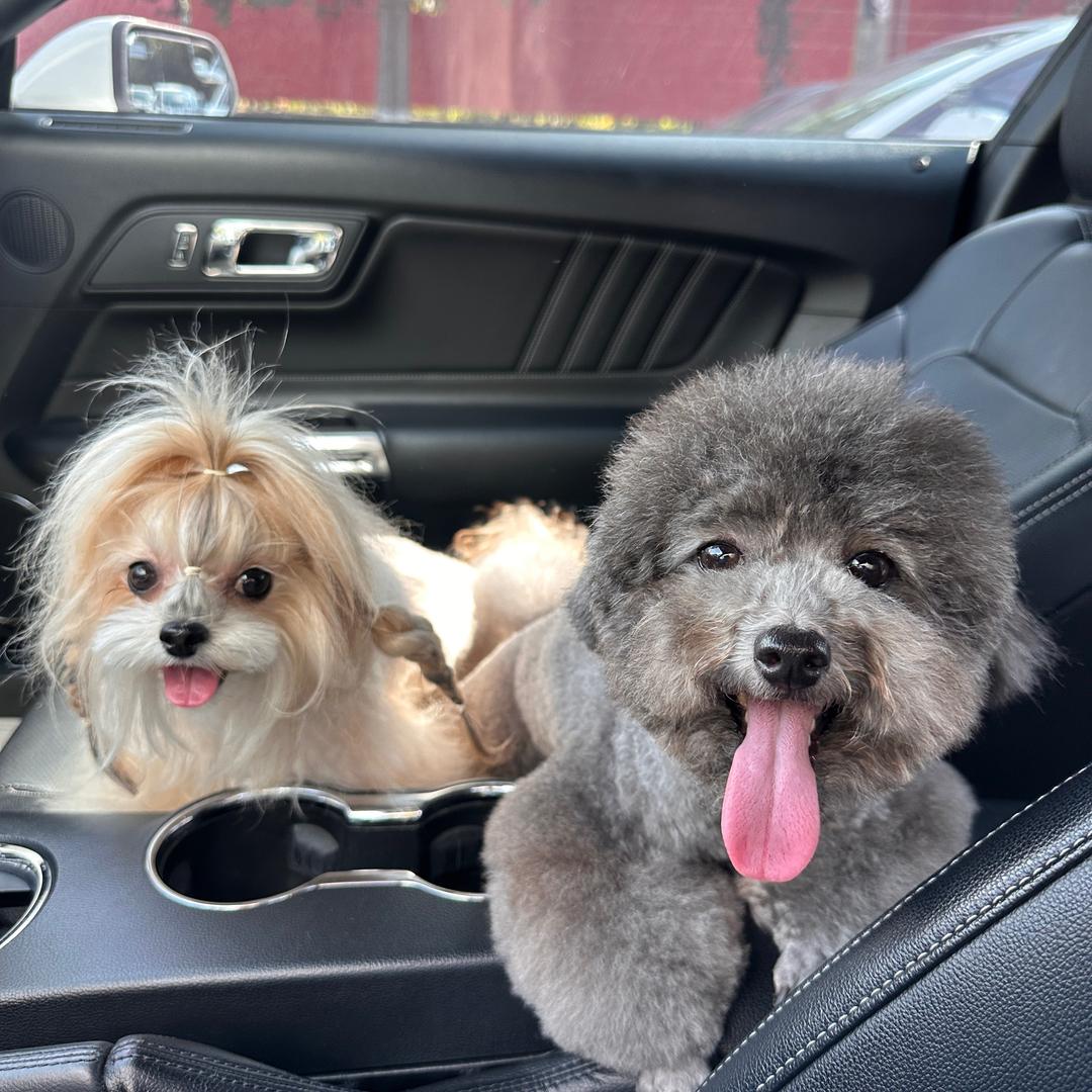 可乐雪碧来一个