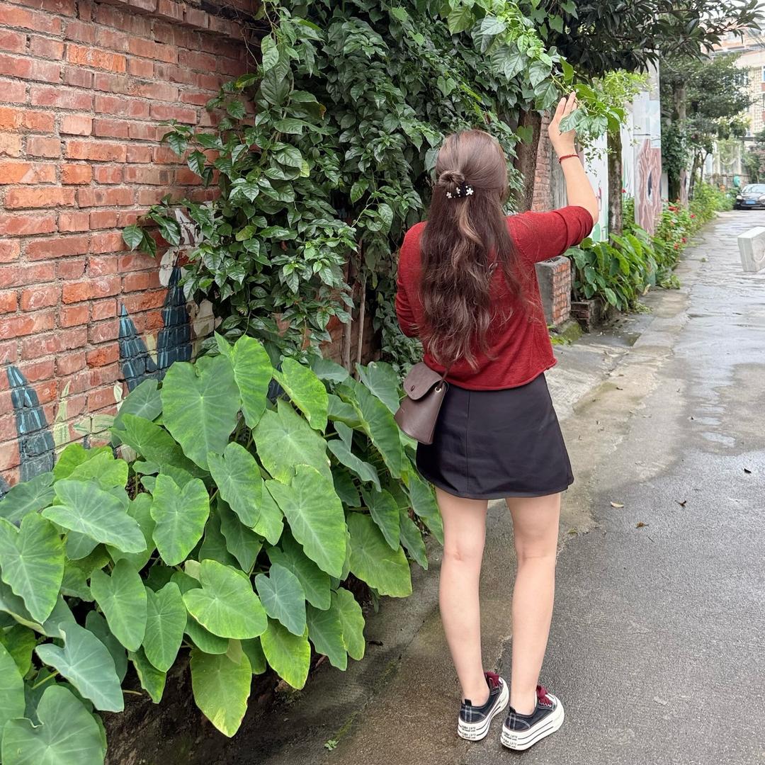 太阳下的小绵杨